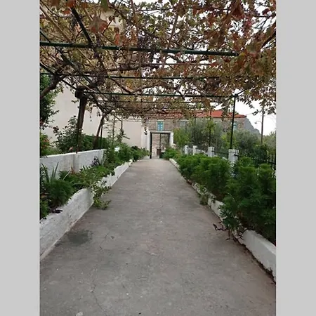 Afroditis's & Makis's *