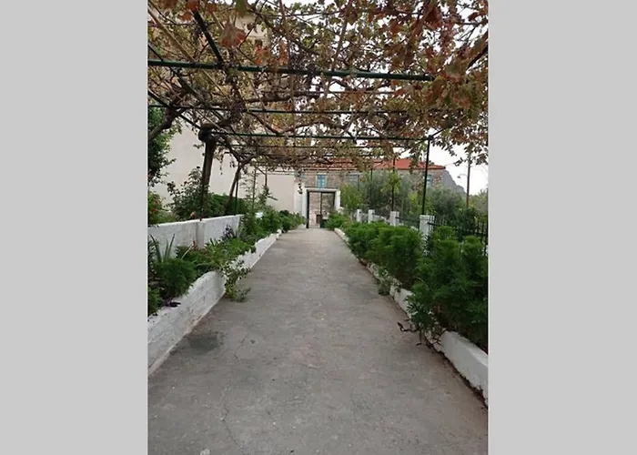 Afroditis's & Makis's *